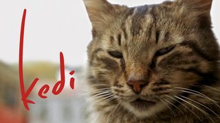Watch Kedi