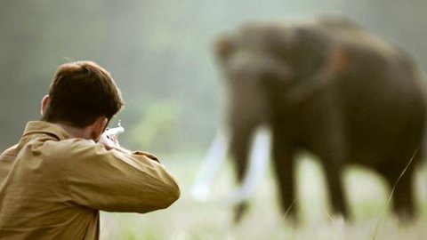 essay on shooting an elephant